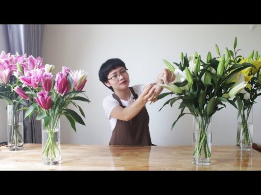 cach-cam-hoa-ly-petal-haven