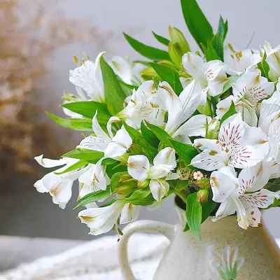 hoa-thuy-tien