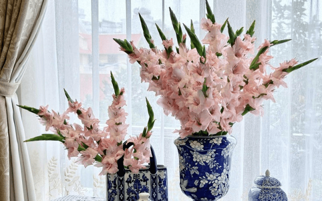 vị trí để hoa dơn hồng