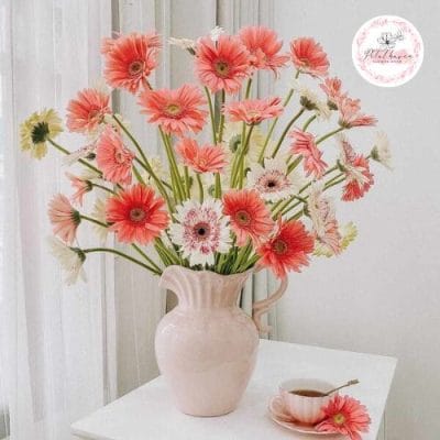 ý nghĩa của hoa đồng tiền